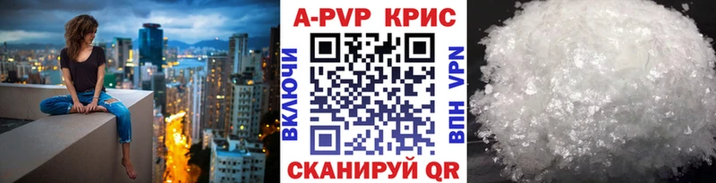 A-PVP СК КРИС Стародуб